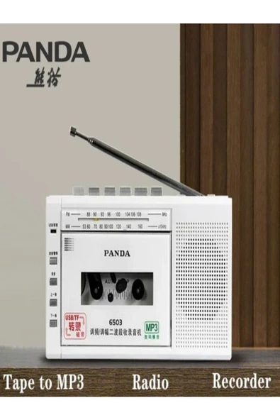 ULTRATEKNO Panda 6503 25W Kaset Çalar Radyo USB/TF  Kaydedici Bant Mikrofon Çok Fonksiyonlu Müzik Çalar - 6