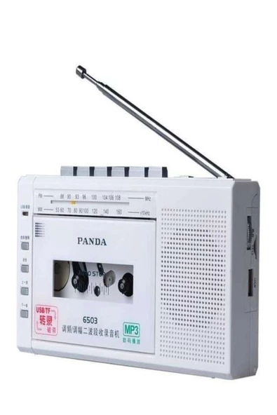 ULTRATEKNO Panda 6503 25W Kaset Çalar Radyo USB/TF  Kaydedici Bant Mikrofon Çok Fonksiyonlu Müzik Çalar - 2