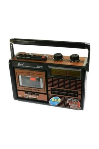 TePe Fp-319u Usb Sd Kart Fm Retro Radyo Kaset Çalar