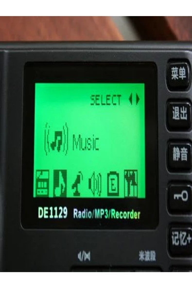 Degen DE-1129 FM Stereo/AM/SW DSP ATS 4GB MP3 Çalar Dijital Kaydedici Taşınabilir Çok Fonksiyonlu Radyo - 6