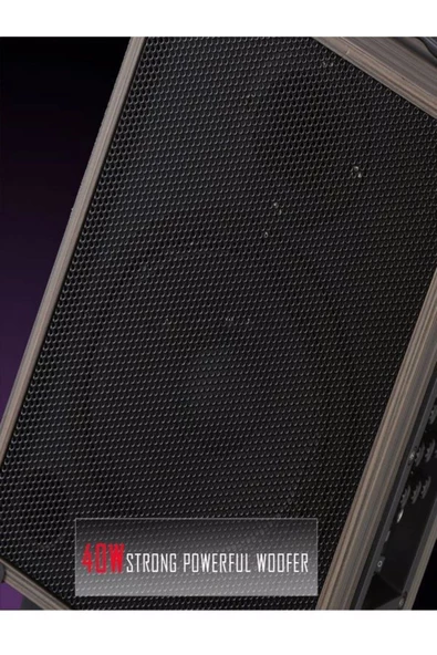 ULTRATEKNO Süper Bass Şarjlı Kumandalı Çift Mikrofonlu Hoparlör Karaoke Sistemi 100 Watt Taşınabilir Parti Box - 6