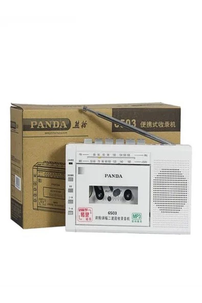 ULTRATEKNO Panda 6503 25W Kaset Çalar Radyo USB/TF  Kaydedici Bant Mikrofon Çok Fonksiyonlu Müzik Çalar - 5