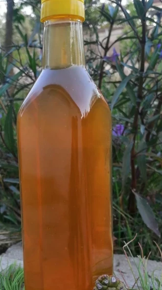 Yeşil Çam Kozalagı Sirkesi 2 kg