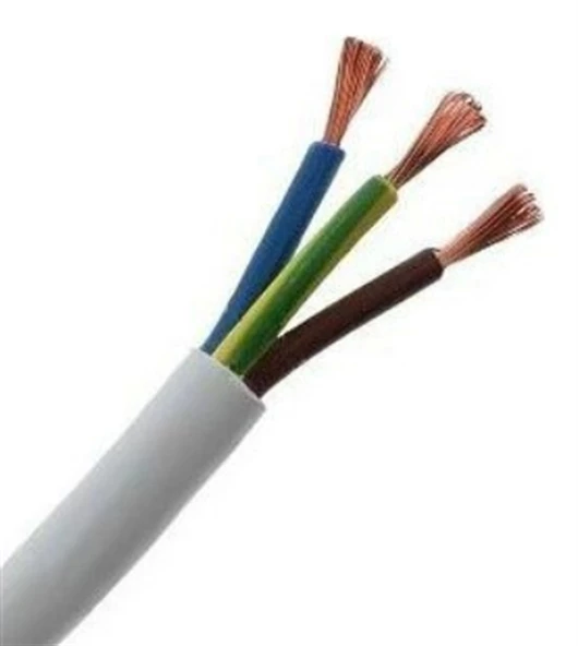 ALTIN 3x2,5 mm TTR Elektrik Tesisat Kablosu