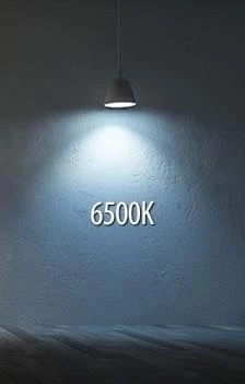 HOROZ Carla 24w Led Glop BEYAZ 7000K Beyaz Işık IP20 - 2