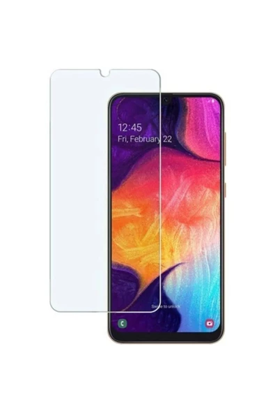 Samsung Galaxy A20 Uyumlu Premium Ekran Koruyucu 9h Sert Temperli Kırılmaz Cam Koruma Şeffaf