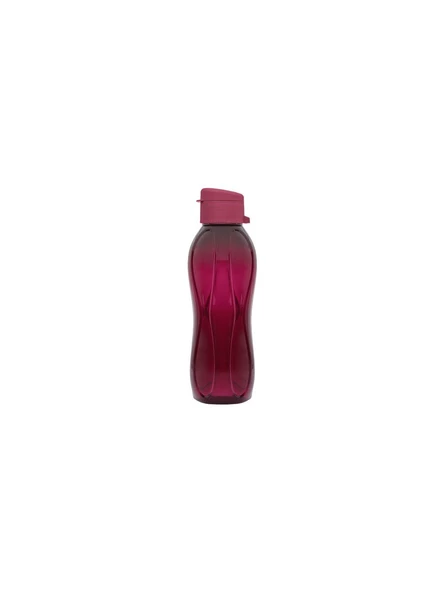 750 ML Bordo Matara Suluk Çocuk Okul  Spor Su Sişesi - 2