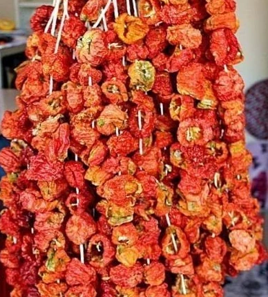 Kuru Biber Dolması Tatlı 50 Adet 2 ip