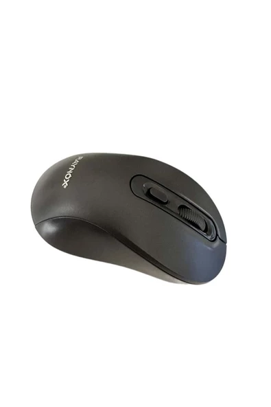 RAYNOX RX-M207 KABLOSUZ MOUSE - 2