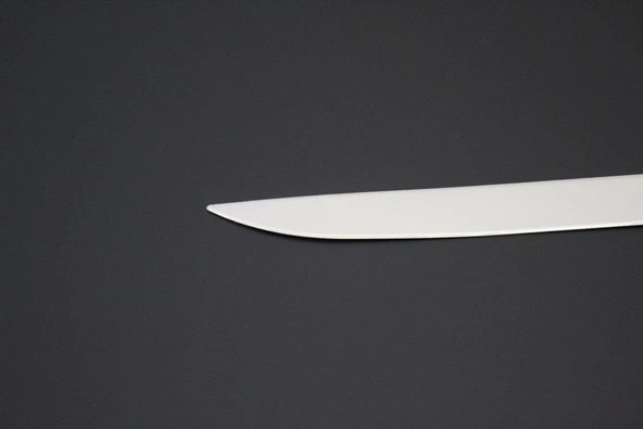 Dacia Sandero 2008-2012 Krom Bagaj Cıtası - 2