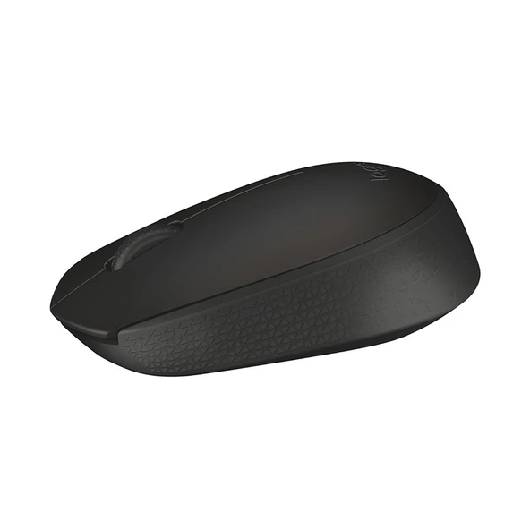 Logitech M171 Siyah Kablosuz Mouse 910-004424 - 2