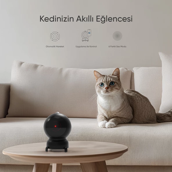 Akıllı Kedi Oyuncağı - 2