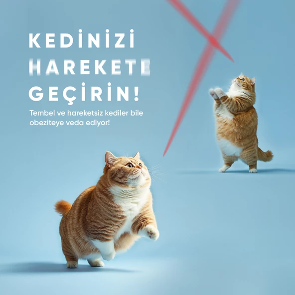 Akıllı Kedi Oyuncağı - 6