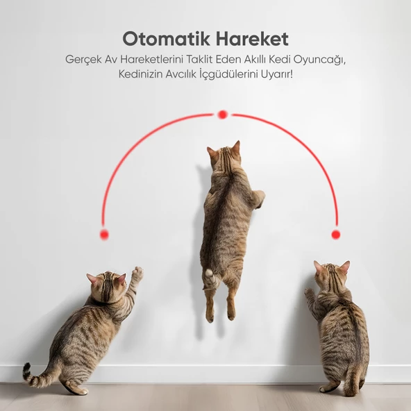 Akıllı Kedi Oyuncağı - 4