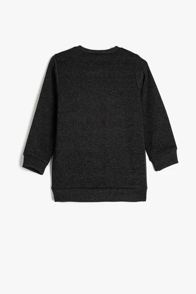 Koton Erkek Çocuk Sweatshirt Uzun Kollu Kaplan Baskılı - 2