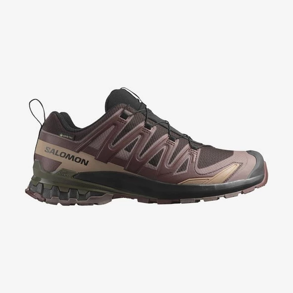 Salomon XA PRO 3D V9 GTX Erkek Ayakkabı L47583500