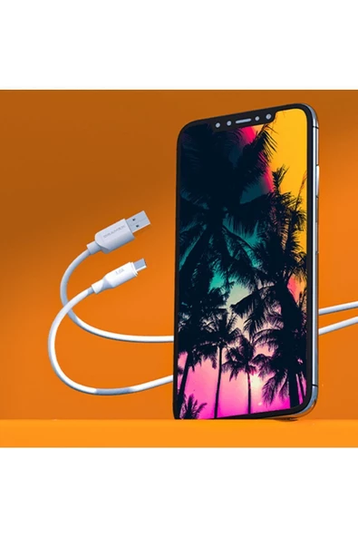 DRAMEX D30T 3.0A Telefon Şarj Aleti Ve 1M Type-C Kablolu Set - Resim 5