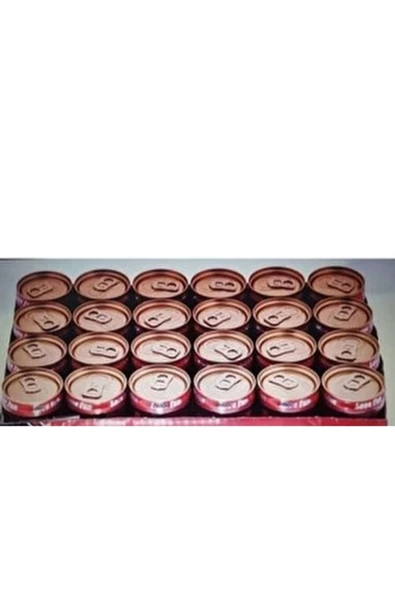 Ginseng Enfes Garantili 150Ml Eneri İçeceği 24 Adet