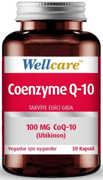 Wellcare Coenzym Q10 100mg 30 Kapsül