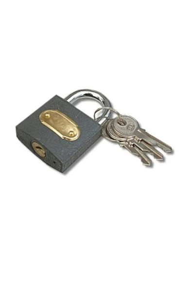 ASMA KİLİT GRİ 63 MM - 2