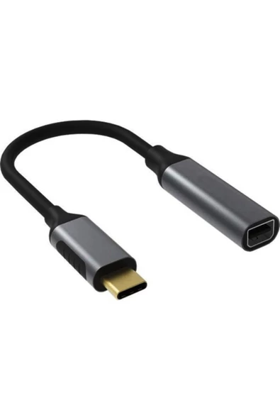 Daytona Mini Display Port 4k Ultra Hd Görüntü Aktarıcı Çevirici Adaptör Fc-k01 Type-c™ To