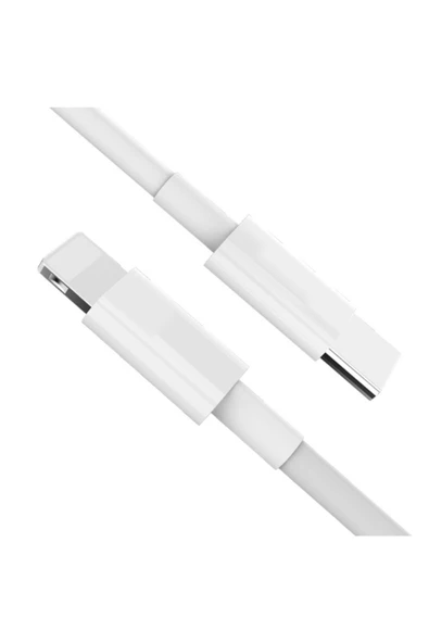 Daytona Apple Iphone 11/11 Pro Max 18w Hızlı Şarj Cihazı Ve 1 Metre Usb C Lightning Şarj Kablosu Set - 2