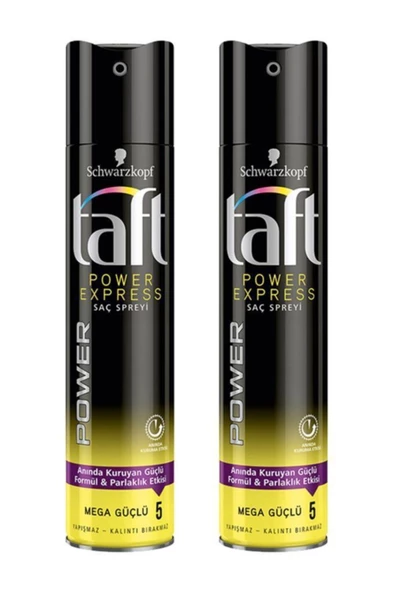 TAFT Power Express Sprey 250 Ml X2