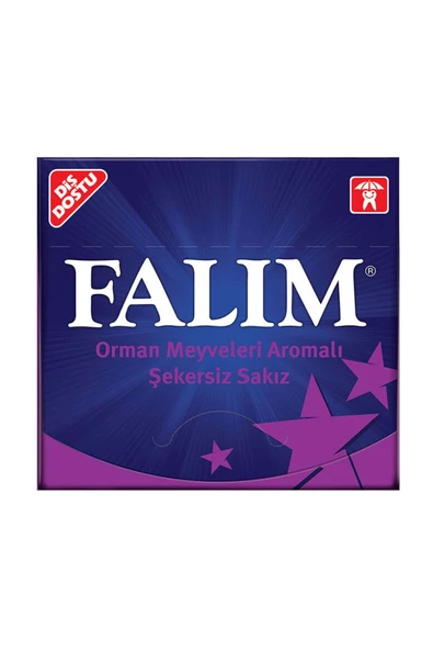 KENT Falım Orman Meyveleri Şekersiz Sakız 12 Gr - 2