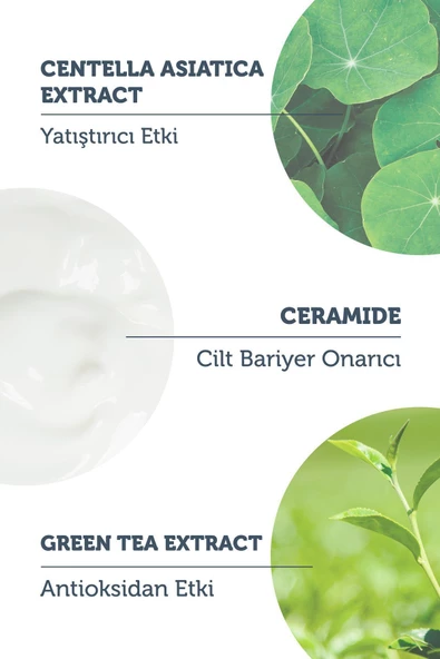 THE PUREST SOLUTİONS THE PUREST SOLUTİONS Stick SPF 50, Bariyer Onarıcı & Yatıştırıcı Güneş Koruyucu - 4