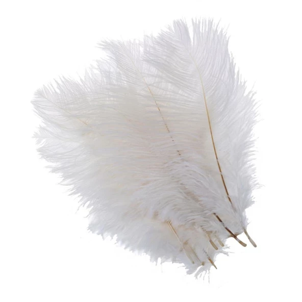 Nettenevime 10lu Set Deve Kuşu Tüyü Beyaz 40-45 CM Gerçek Tüy - 6
