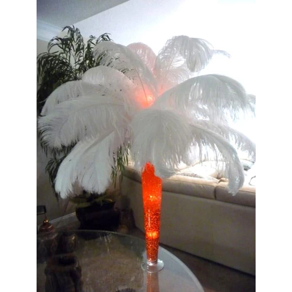 Nettenevime 3lü Set Deve Kuşu Tüyü Beyaz 40-45 CM Gerçek Tüy - 8