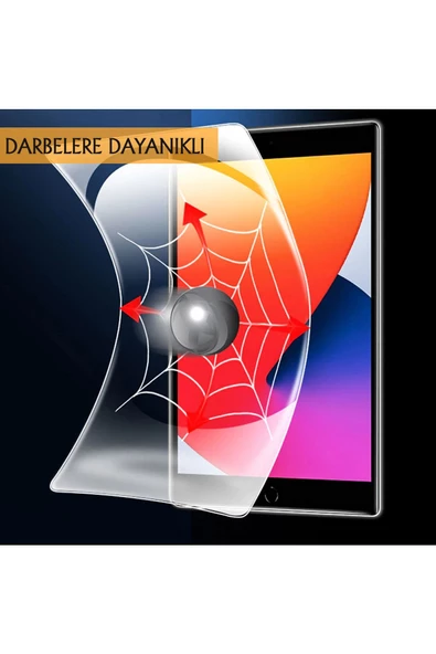 Wontis Apple Ipad Pro (MHR23TU/A) 11.0 Inç Premium 9h Nano Ekran Koruyucu Film Temizlik Seti