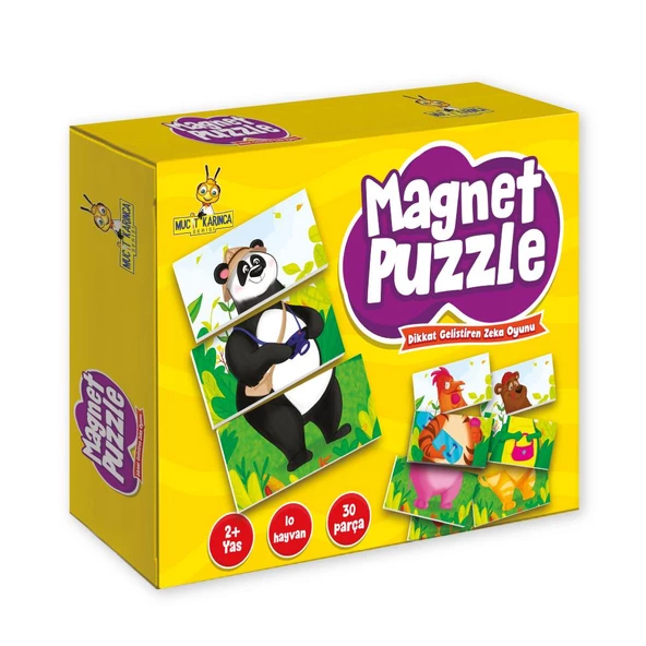 Mıknatıslı Magnet Puzzle