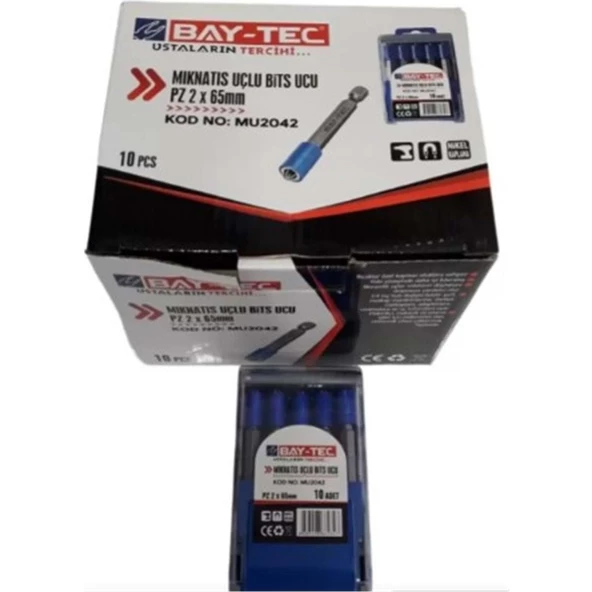 BAY-TEC MIKNATIS UÇLU BİTS UCU PZ2X65 MM MU2042