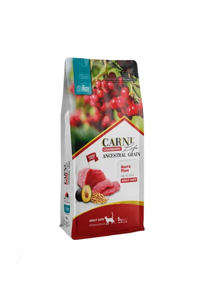 Carni Cat Adult Sığır/Erikli Kedi Maması 5 KG