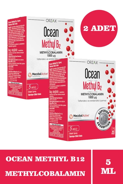 Ocean Methyl B12 Sprey 1000 mg 5 ml 2 Adet