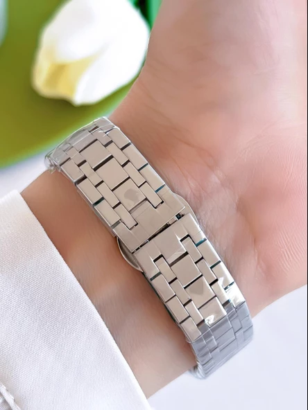 Ferro Çelik Kordon İyon Kaplama Kasa 3 Atm Suya Dayanıklı Kadın Kol Saati+Bileklik EFL43003-YA - Resim 3