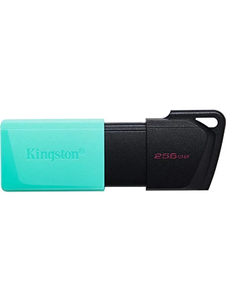 Kingston 256 GB DataTraveler Exodia DTXM/256 Flash Bellek