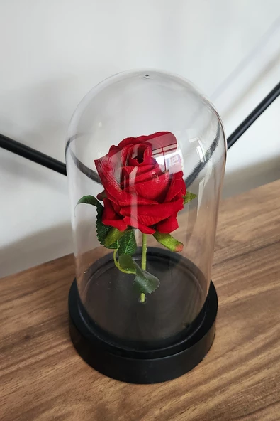 Sevgililer Günü Solmayan Güllü Dekoratif Sade Model - 4