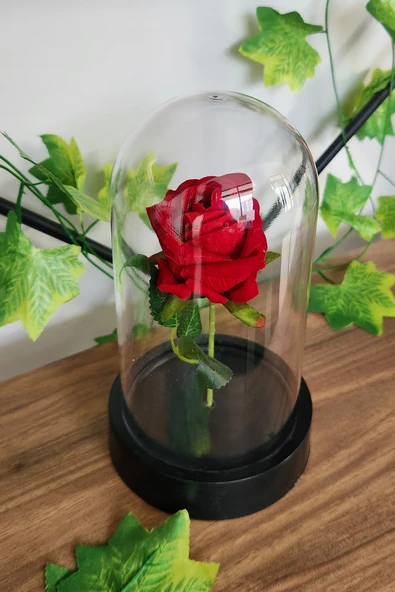 Sevgililer Günü Solmayan Güllü Dekoratif Sade Model - 5