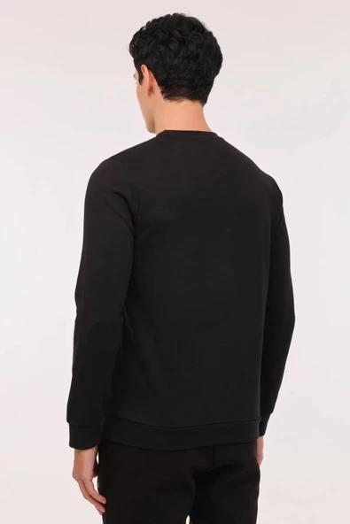 LUMBERJACK ML TERRY 16SD4013 ERKEK SWEATSHIRT (KIŞ 24) - 6