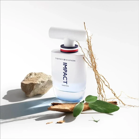 Tommy Hilfiger Impact Together EDT 50 ml Erkek Parfümü - Resim 3
