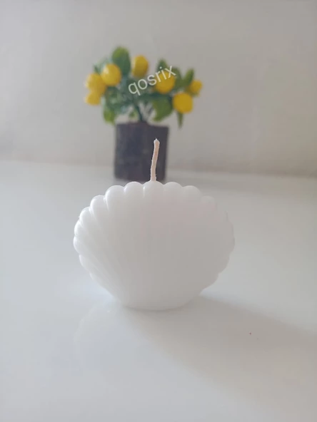 qosrix Beyaz Mini Istiridye Deniz Kabuğu 1. Kalite Soya Doğal Vanilya Kokulu Mum Dekoratif 1 Adet - 2