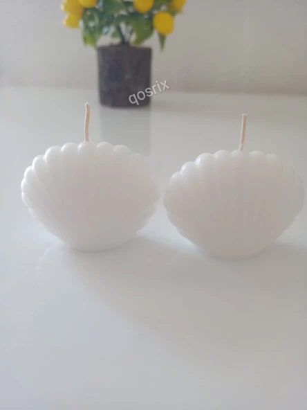 qosrix 2'li Beyaz Mini Istiridye Deniz Kabuğu 1. Kalite Soya Doğal Vanilya Kokulu Mum Dekoratif
