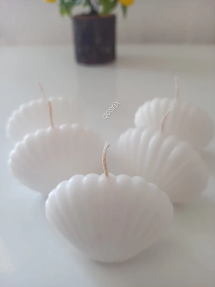 qosrix 5'li Beyaz Mini Istiridye Deniz Kabuğu 1. Kalite Soya Doğal Vanilya Kokulu Mum Dekoratif - 2