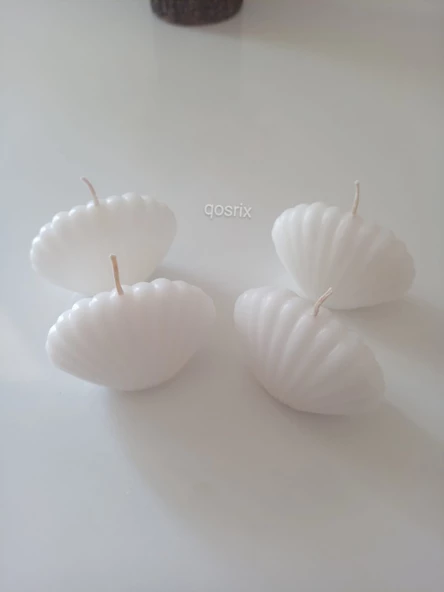 qosrix 4'lü Beyaz Mini Istiridye Deniz Kabuğu 1. Kalite Soya Doğal Vanilya Kokulu Mum Dekoratif