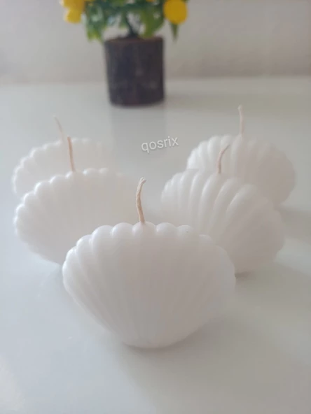 qosrix 5'li Beyaz Mini Istiridye Deniz Kabuğu 1. Kalite Soya Doğal Vanilya Kokulu Mum Dekoratif