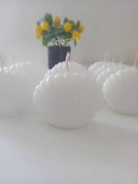 qosrix 12'li Beyaz Mini Istiridye Deniz Kabuğu 1. Kalite Soya Doğal Vanilya Kokulu Hediyelik Mum Dekoratif