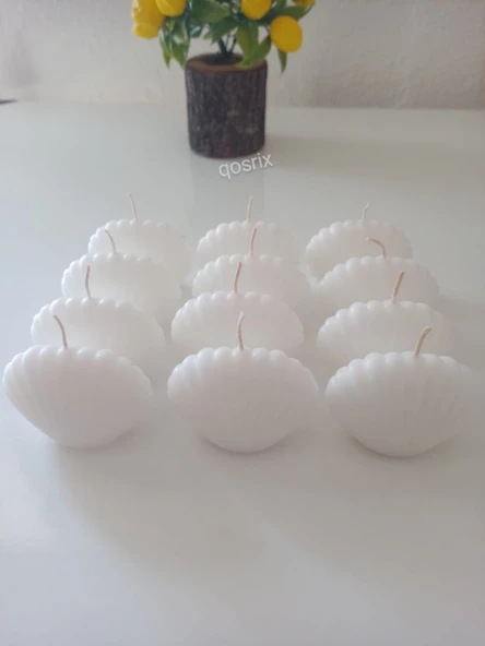 qosrix 12'li Beyaz Mini Istiridye Deniz Kabuğu 1. Kalite Soya Doğal Vanilya Kokulu Hediyelik Mum Dekoratif - 2