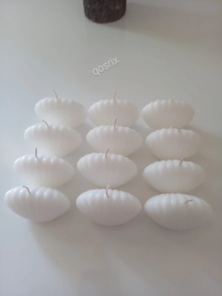 qosrix 12'li Beyaz Mini Istiridye Deniz Kabuğu 1. Kalite Soya Doğal Vanilya Kokulu Hediyelik Mum Dekoratif - 3